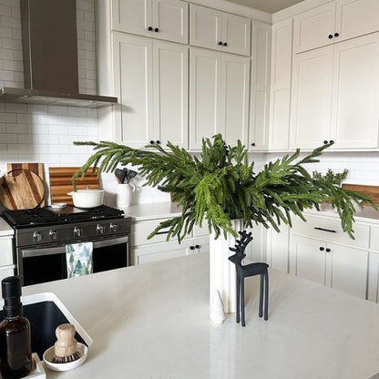 🔥Only $9.99🔥The Best Holiday Greenery - Realistic Norfolk Pine Stems
