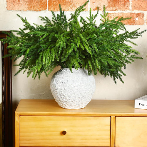 🔥Only $9.99🔥The Best Holiday Greenery - Realistic Norfolk Pine Stems